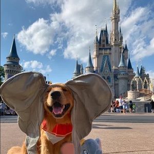 Meet your Posher, Kody